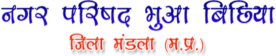 Nagar Parishad, Bhua Bichiya